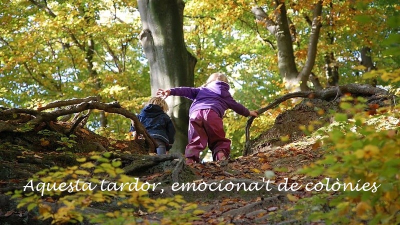 Aquesta tardor, emociona't de colònies